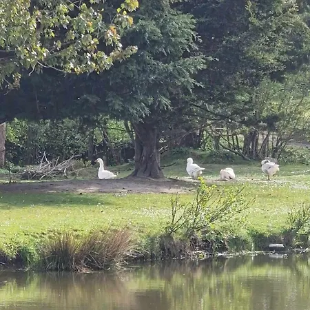 Gite De L'etang *